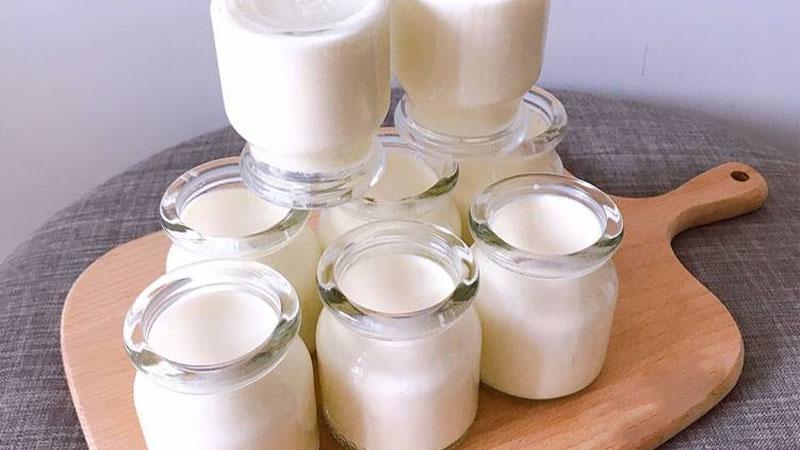 Cách làm yaourt sữa đặc ông thọ