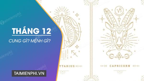 Tháng 12 sinh cung hoàng đạo nào? Đàm phán vận mệnh, tình yêu, sự nghiệp và đặc điểm cá nhân