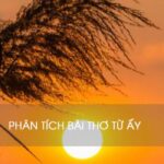 Phân tích bài thơ Từ ấy - Hành trình chấm dứt lẻ loi